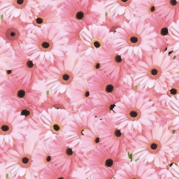 Meet your Posher, Maya - Picture 1 of 1